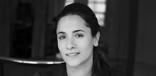 Spécialisée en propriété intellectuelle de l'entreprise